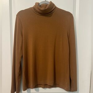 Banana Republic Elida Luxe Turtleneck